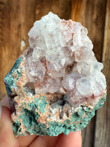 Red Apophyllite on Green Heulandite • Maharashtra, India