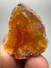 Load image into Gallery viewer, Lot of 4 Small Malawi Agate Halves – Polished Rare Colorful Collector Specimens
