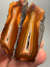 Load image into Gallery viewer, High-Grade Indonesian Sumatra Agate Pair – Vibrant Banded Chalcedony with Rich Color Zoning | Ethical Lapidary &amp; Collector Display Specimens
