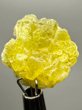 Load image into Gallery viewer, Vibrant Yellow Brucite Thumbnail Mineral Specimen | Collector Crystal from Killa Saifullah District in Balochistan Province, Pakistan
