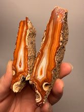 Load image into Gallery viewer, High-Grade Indonesian Sumatra Agate Pair – Vibrant Banded Chalcedony with Rich Color Zoning | Ethical Lapidary &amp; Collector Display Specimens
