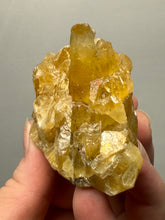 Load image into Gallery viewer, Golden Glow Calcite Cluster | Maharashtra, India
