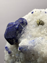Load image into Gallery viewer, Afghan Lazurite Specimen | Deep Blue Lapis-Grade Crystal on Matrix | Collector Display Mineral
