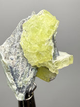Load image into Gallery viewer, Vibrant Yellow Brucite Thumbnail Mineral Specimen | Collector Crystal from Killa Saifullah District in Balochistan Province, Pakistan
