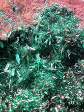 Load image into Gallery viewer, Brochantite Collector Mineral Specimen – Vivid Green Copper Crystals from Morocco
