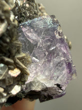 Load image into Gallery viewer, Fluorite Cluster with Mica &amp; Chalcopyrite | Cabinet Specimen | Yaogangxian Mine, Chenzhou, Hunan Province, China
