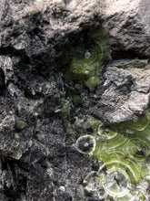 Load image into Gallery viewer, High-Grade Green Wavellite Collectors Specimen - Radiating Botryoidal Crystal Formation - Arkansas, USA
