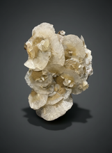 Load image into Gallery viewer, Silvery Bladed “Rose” Calcite Cluster – Yaogangxian Mine, Hunan, China
