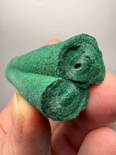 Load image into Gallery viewer, 3.5” Double Druzy Malachite Stalactite — Botryoidal “Cave” Formation | DR Congo  | Collector Mineral Specimen
