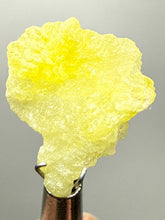 Load image into Gallery viewer, Vibrant Yellow Brucite Thumbnail Mineral Specimen | Collector Crystal from Killa Saifullah District in Balochistan Province, Pakistan
