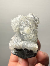 Load image into Gallery viewer, Druzy Chalcedony Stalactite with Druzy Clear Apophyllite | Maharashtra, India
