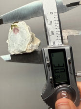 Load image into Gallery viewer, Watermelon Tourmaline on Matrix – Collector Mineral Specimen from Pakistan
