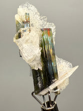 Load image into Gallery viewer, Green Cap Stak Nala Tourmaline with Cleavelandite – Haramosh Mountains, Pakistan | Thumbnail Specimen
