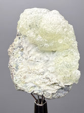 Load image into Gallery viewer, Vibrant Yellow Brucite Thumbnail Mineral Specimen | Collector Crystal from Killa Saifullah District in Balochistan Province, Pakistan
