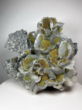 Load image into Gallery viewer, 7 Full Color Spectrum Druzy Chalcopyrite on Silver Pedal Calcite • from Hubei Province, China • Mineral Collector’s Showpiece Specimen
