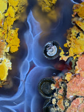 Load image into Gallery viewer, MUSEUM Turkish Agate with Intriguing Inclusions – Great Sticks, Banding and Eyes - Turkey

