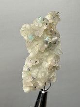 Load image into Gallery viewer, Blue-Green Chrysocolla in Botryoidal Chalcedony Cabinet Specimen | Indonesia
