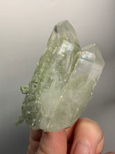 Load image into Gallery viewer, Chlorite-Included Faden Quartz Cluster (Green Phantom Quartz) | Pakistan Mineral Specimen
