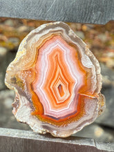 Load image into Gallery viewer, High-Grade Parallax Banded Laguna Agate – Bright Orange, Red, &amp; White Banding from Mexico
