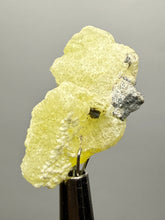 Load image into Gallery viewer, Vibrant Yellow Brucite Thumbnail Mineral Specimen | Collector Crystal from Killa Saifullah District in Balochistan Province, Pakistan

