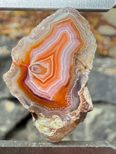 Load image into Gallery viewer, High-Grade Parallax Banded Laguna Agate – Bright Orange, Red, &amp; White Banding from Mexico
