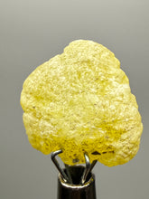 Load image into Gallery viewer, Vibrant Yellow Brucite Thumbnail Mineral Specimen | Collector Crystal from Killa Saifullah District in Balochistan Province, Pakistan
