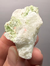 Load image into Gallery viewer, Electric Green Diopside on Quartz – Collector Mineral Specimen (Gilgit-Baltistan) Pakistan

