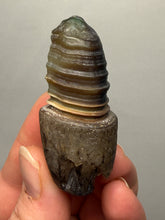 Load image into Gallery viewer, Naturally Sand-Chiseled Gobi Eye Agate | Inner Mongolia Desert Sculpted Specimen
