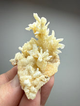 Load image into Gallery viewer, High-Grade Coral Aragonite Crystal Specimen – Wenshan Mine, Yunnan, China
