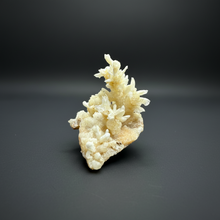 Load image into Gallery viewer, High-Grade Coral Aragonite Crystal Specimen – Wenshan Mine, Yunnan, China

