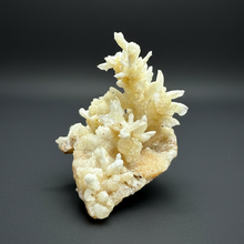 Load image into Gallery viewer, High-Grade Coral Aragonite Crystal Specimen – Wenshan Mine, Yunnan, China
