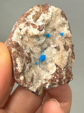Load image into Gallery viewer, Rare Electric Blue Pentagonite &amp; Cavansite on Druzy Matrix | Collector Mineral Specimen | Wagholi Quarry, India
