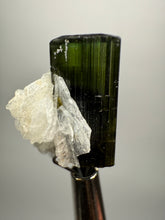 Load image into Gallery viewer, Dark Green Stak Nala Tourmaline and Cleavelandite – Haramosh Mountains, Pakistan | Thumbnail Specimen
