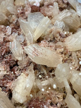 Load image into Gallery viewer, LG Shiny Peach Stilbite and Mint Green Apophyllite on Druzy Red Heulandite – High-Grade Collector Mineral Specimen from India
