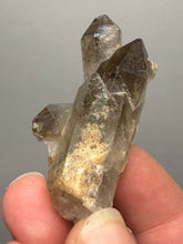 Load image into Gallery viewer, Smoky Quartz Crystal Specimen | Natural Collector Mineral – Brazil
