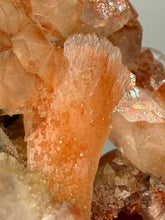 Load image into Gallery viewer, Rare Red Druzy Apophyllite with Red Stilbite Cluster | India | Collector Mineral Specimen
