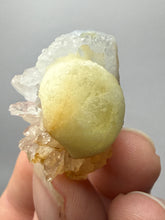 Load image into Gallery viewer, Rare Botryoidal Yellow Fluorite on Quartz Matrix  Collector Mineral Specimen – Maharashtra, India
