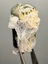 Load image into Gallery viewer, Green Cap Stak Nala Tourmaline with Cleavelandite – Haramosh Mountains, Pakistan | Thumbnail Specimen
