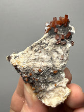 Load image into Gallery viewer, Natural Vanadinite on Matrix | Collector Mineral Specimen | Morocco

