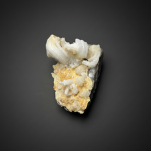 Load image into Gallery viewer, Moroccan Ram’s Horn Selenite (Gypsum) Crystal Display Specimen
