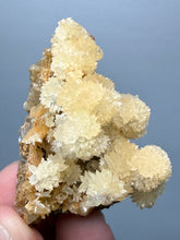 Load image into Gallery viewer, 1.8” High-Grade Flower Calcite Specimen | Wenshan Mine, Yunnan, China | Collector Mineral Display
