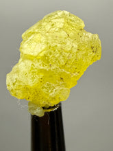 Load image into Gallery viewer, Vibrant Yellow Brucite Thumbnail Mineral Specimen | Collector Crystal from Killa Saifullah District in Balochistan Province, Pakistan

