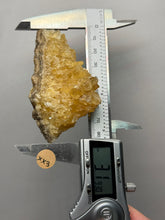 Load image into Gallery viewer, Golden Glow Calcite Cluster | Maharashtra, India
