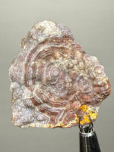 Load image into Gallery viewer, “Goblin Chalcedony” Pink &amp; Orange Druzy Botryoidal Stalactites— Tichka Massif, High Atlas, Morocco
