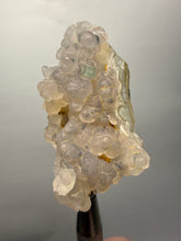 Load image into Gallery viewer, Blue-Green Chrysocolla in Botryoidal Chalcedony Cabinet Specimen | Indonesia
