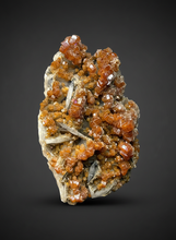 Load image into Gallery viewer, Natural Vanadinite on Matrix | Collector Mineral Specimen | Morocco
