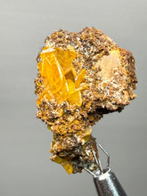 Load image into Gallery viewer, High-Grade Orange Wulfenite Collector Display Specimen | La Morita Mine, Chihuahua, Mexico
