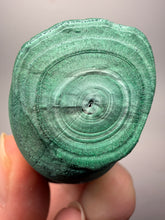 Load image into Gallery viewer, 2.6” Druzy Malachite &amp; Chrysocolla Stalactites — Botryoidal Cave Formation | DR Congo  | Collector Mineral Specimen
