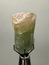 Load image into Gallery viewer, Raw Bi-Color Tourmaline Crystal Specimen | Ocean View Mine, Pala, California, USA
