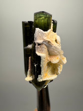Load image into Gallery viewer, Green Cap Stak Nala Tourmaline with Cleavelandite – Haramosh Mountains, Pakistan | Thumbnail Specimen
